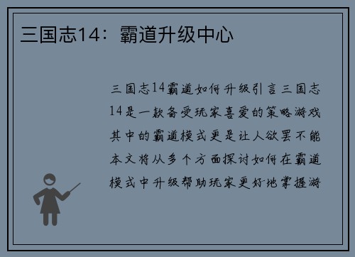 三国志14：霸道升级中心